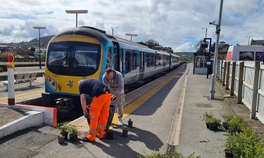 TransPennine express enhances biodiversity with station planter upgrades