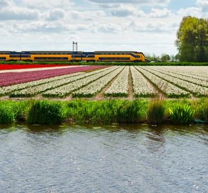 Dutch Railways