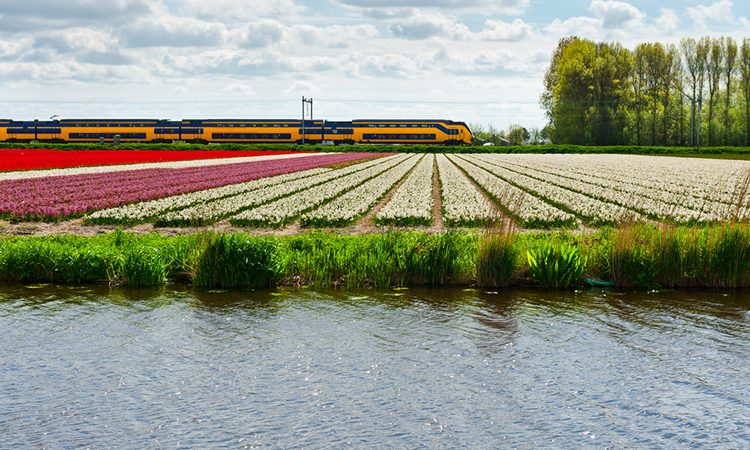 Dutch Railways